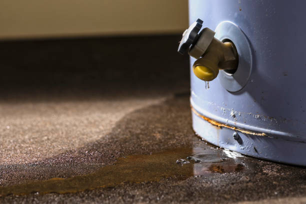 Best Flood restoration services  in Indiana, PA