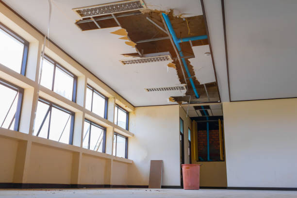 Best Water damage cleanup near me  in Indiana, PA