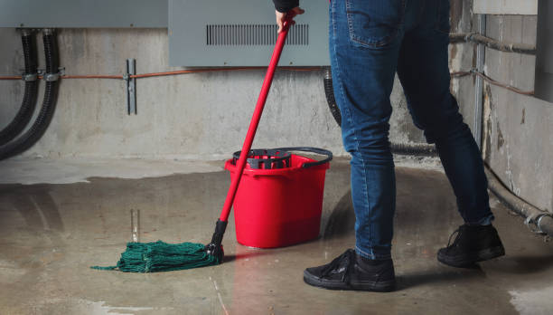 Best Commercial water damage restoration  in Indiana, PA