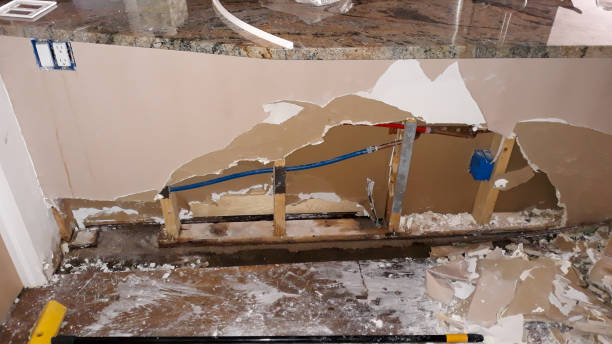 Best Flood damage cleanup  in Indiana, PA