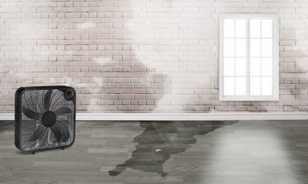 Best 24/7 water damage repair  in Indiana, PA