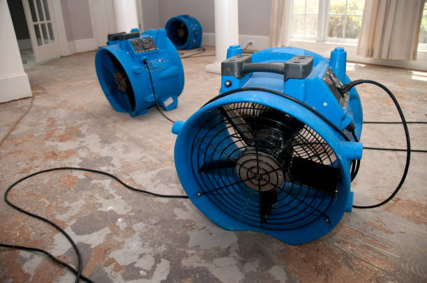 Best Local water damage restoration  in Indiana, PA
