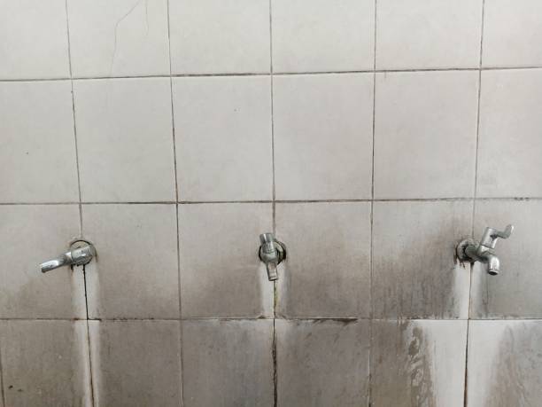 Best Professional water damage repair  in Indiana, PA