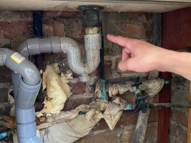 Best Water damage contractors near me  in Indiana, PA