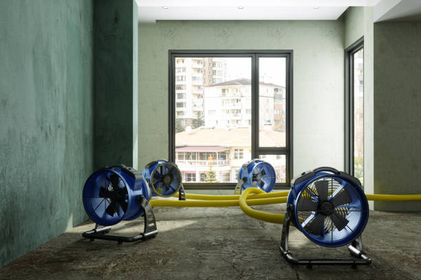 Best 24-hour water damage restoration  in Indiana, PA