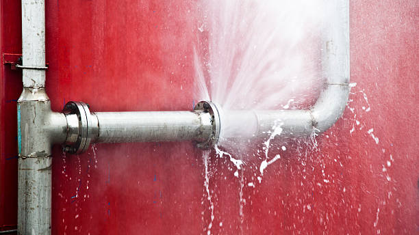 Best Water damage restoration near me  in Indiana, PA