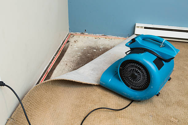  Indiana, PA Water damage restoration Pros