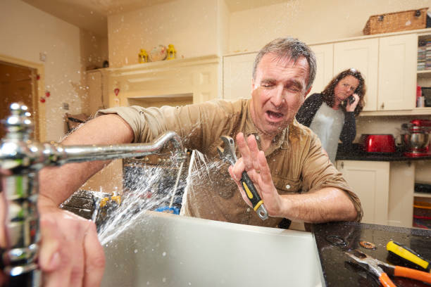 Best Water damage repair service  in Indiana, PA
